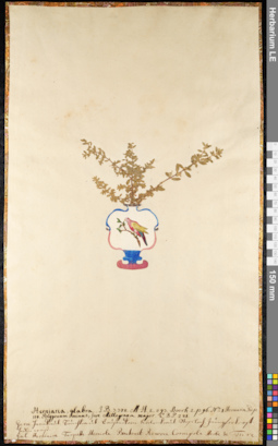 LE 01092455
