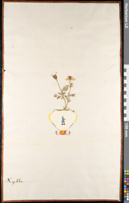 LE 01092489