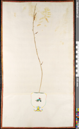 LE 01092502