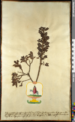 LE 01092563
