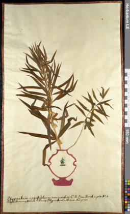 LE 01092564