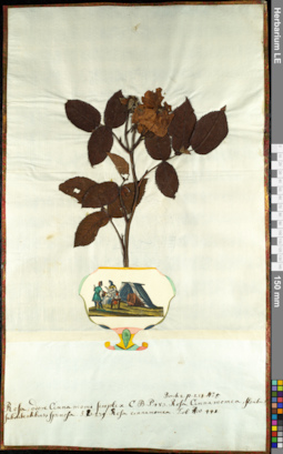 LE 01092571