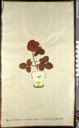 LE 01092572